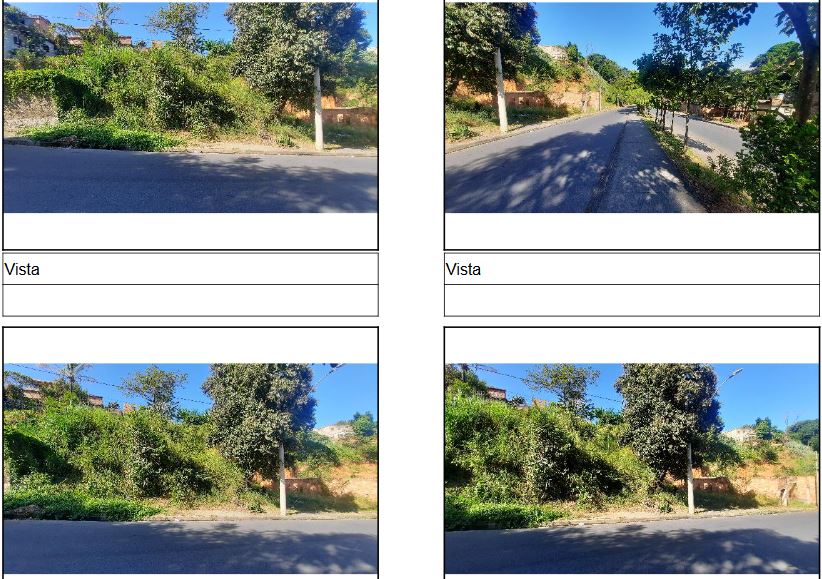 RIBEIRAO DAS NEVES - SEVILHA 2A SECAO