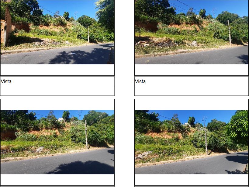 RIBEIRAO DAS NEVES - SEVILHA 2A SECAO