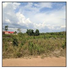 PARQUE MOISES AMORIM