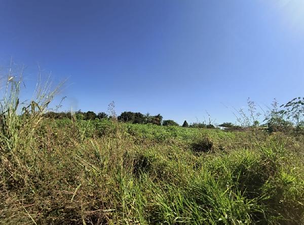 ACAILANDIA - JARDIM BELA VISTA