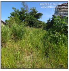 ARARUAMA - PERNAMBUCA (PRAIA SECA)