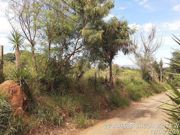 ATIBAIA - MATO DENTRO