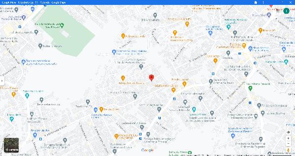 SAO GONCALO - GALO BRANCO