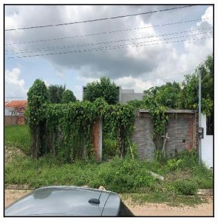 LOT CAMPO BELO