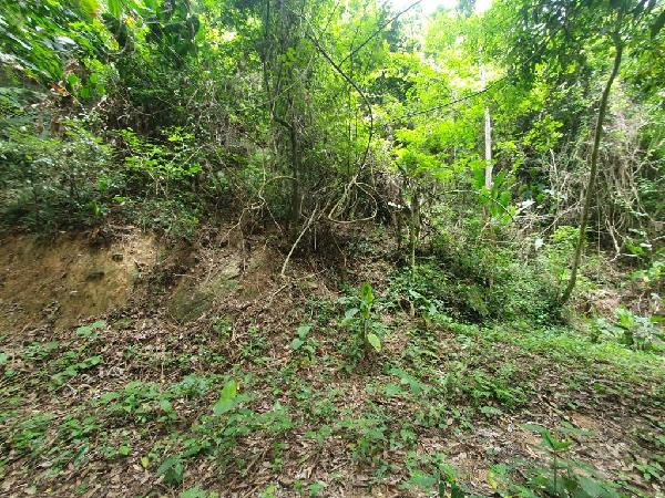 LOT BAIRRO PIRATININGA