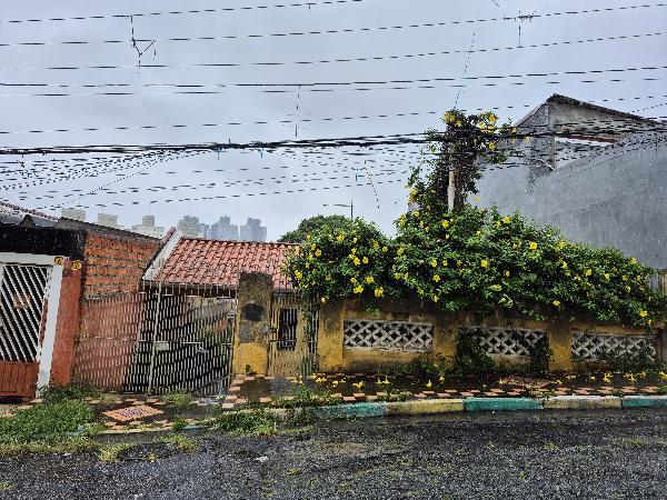SAO PAULO - VILA PENTEADO