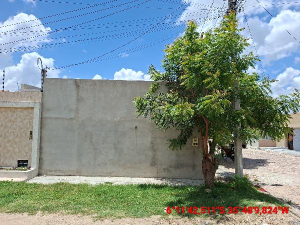 8444405291575_foto1.jpg