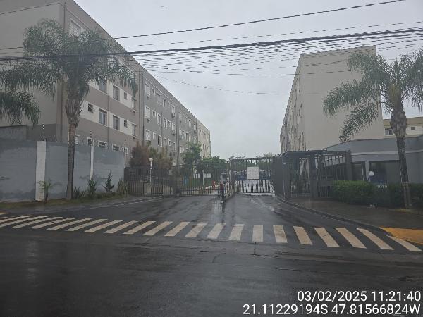 VITTA HEITOR RIGON 1