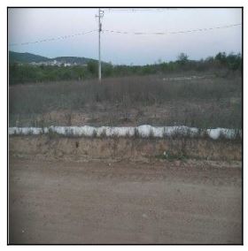 10196819_foto1.jpg