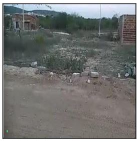 10196829_foto1.jpg