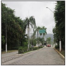 10217508_foto1.jpg