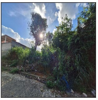 SERRA - BELVEDERE
