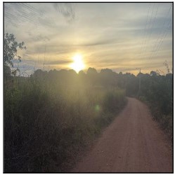 Nenhum imóvel encontrado para o filtro selecionado.