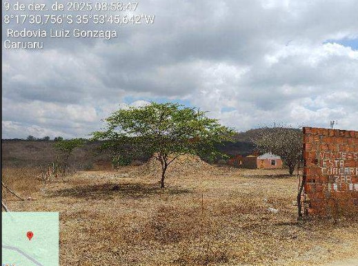 10286345_foto1.jpg