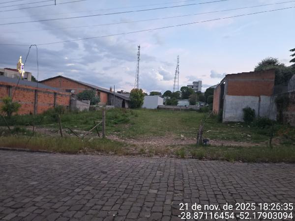 ARVOREZINHA - CENTRO