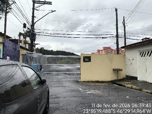 ED CAMPO BELO