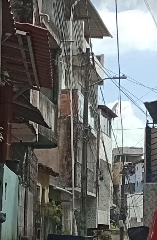 SALVADOR - PAU MIUDO