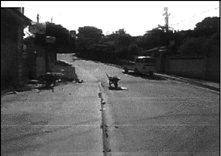 8444403712417_foto2.jpg