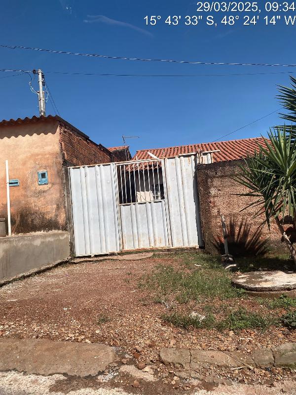 COCALZINHO DE GOIAS - GIRASSOL