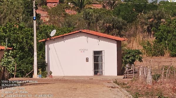 8444409645258_foto1.jpg