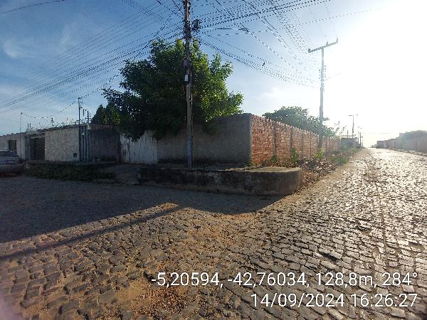TERESINA - ANGELICA