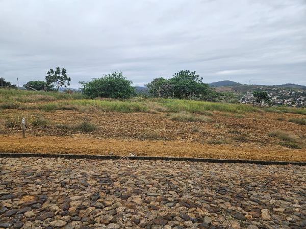 8444423185455_foto1.jpg