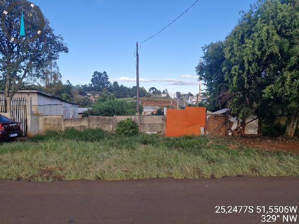 GUARAPUAVA - DOS ESTADOS