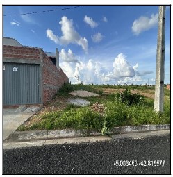 LOT CONVIVER TERESINA