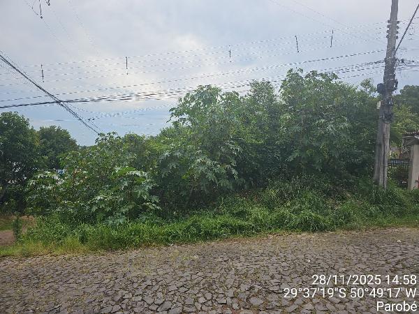 8444427340480_foto1.jpg
