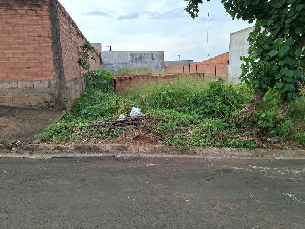8444427444439_foto1.jpg