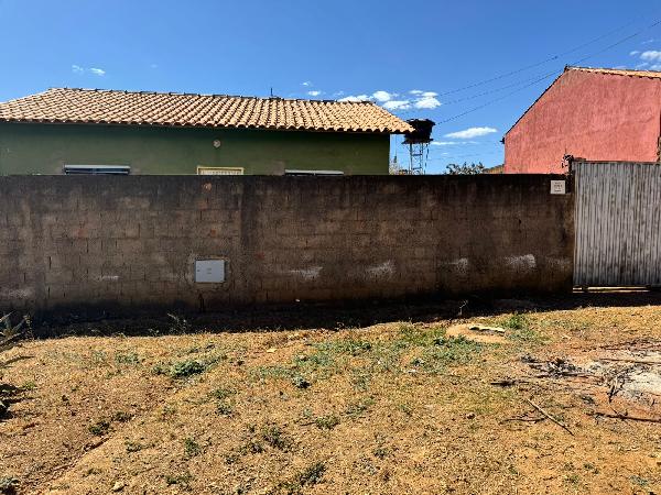 COCALZINHO DE GOIAS - GIRASSOL