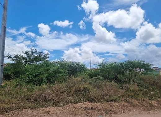 8444430977175_foto1.jpg