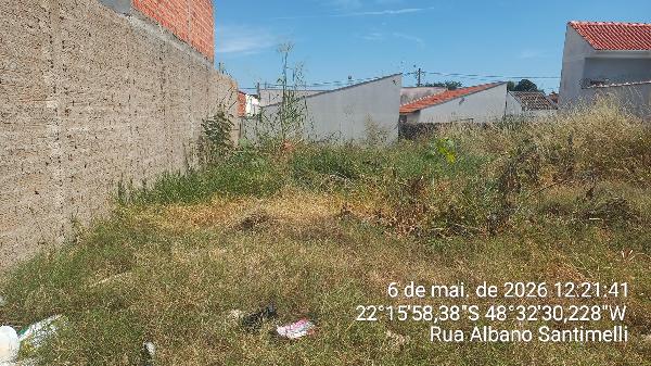 8444431674621_foto1.jpg