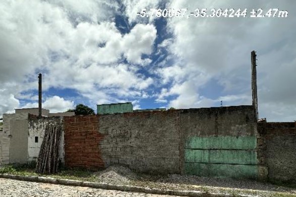 8555513977921_foto1.jpg