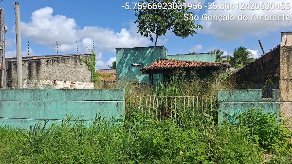 8555514452326_foto1.jpg