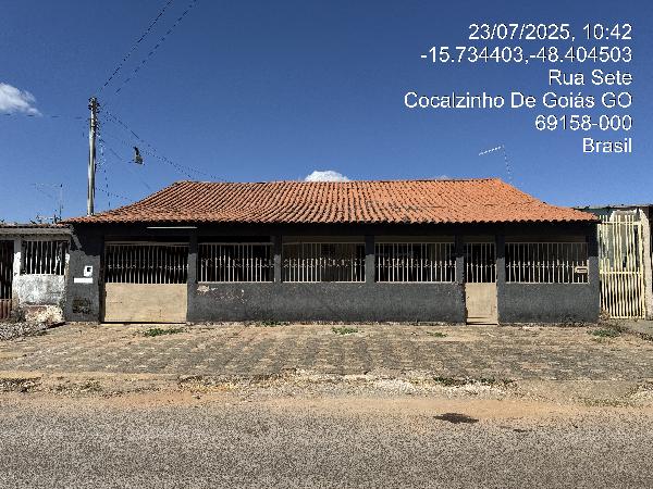 COCALZINHO DE GOIAS - GIRASSOL