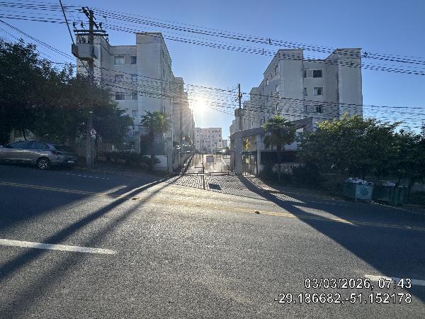8555539919147_foto1.jpg