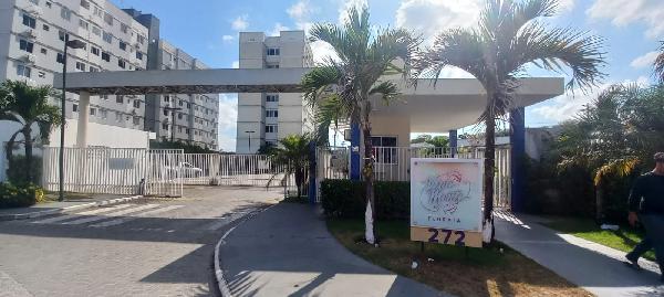 SAO CRISTOVAO - ROSA ELZE