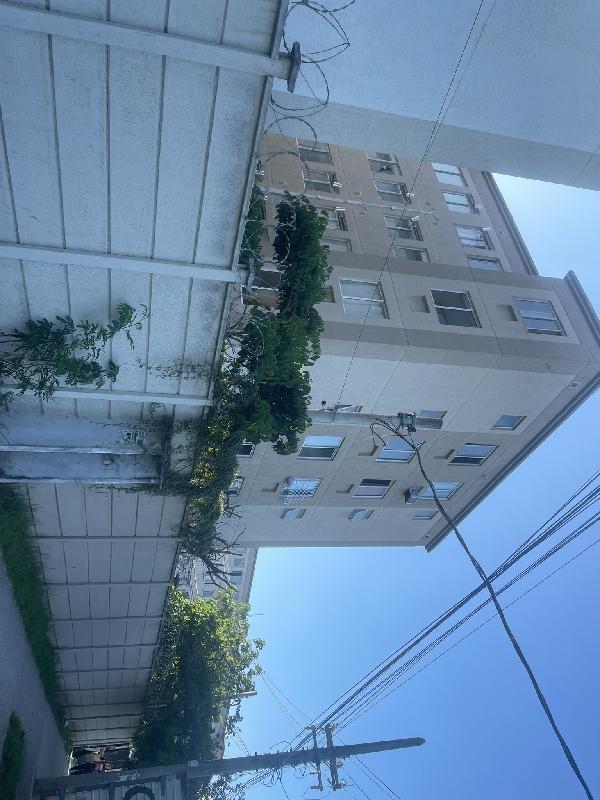 8787704544494_foto1.jpg
