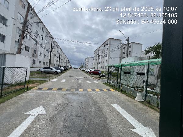 VIVER SALVADOR
