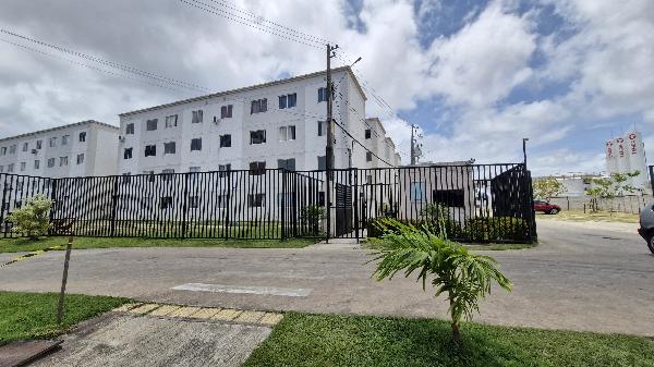 RES  MORADA PREMIUM