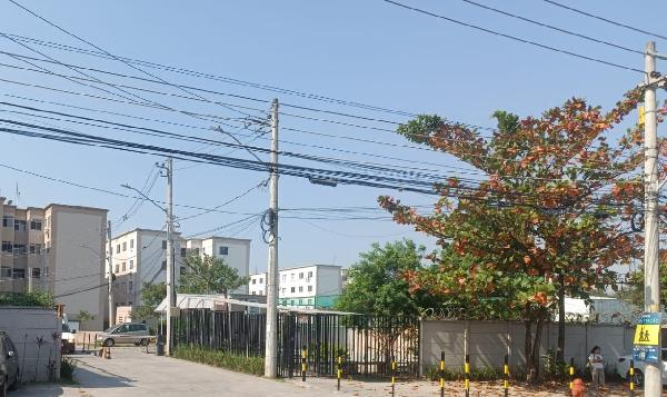 8787706640237_foto1.jpg