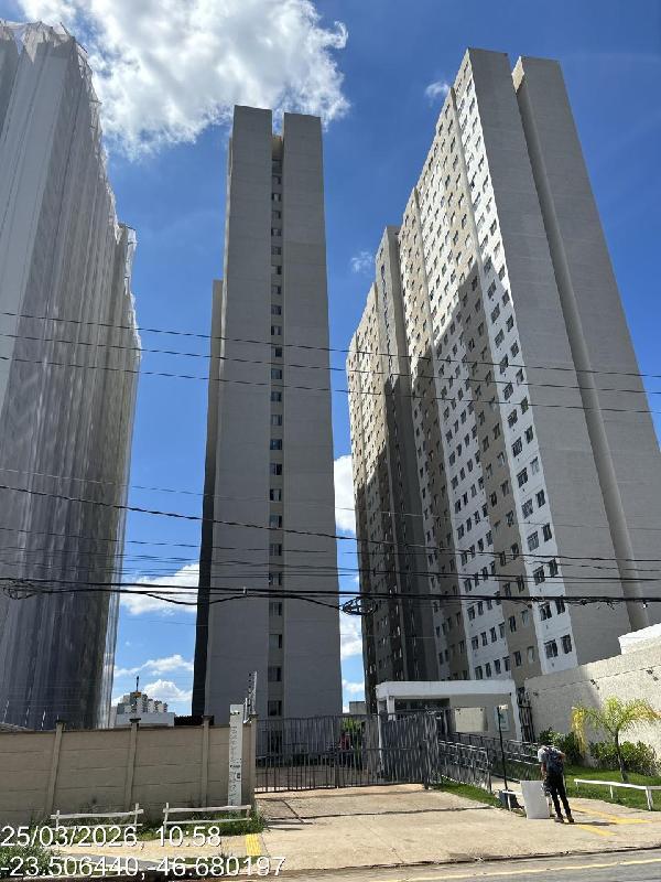 VIVA LIMÃO
