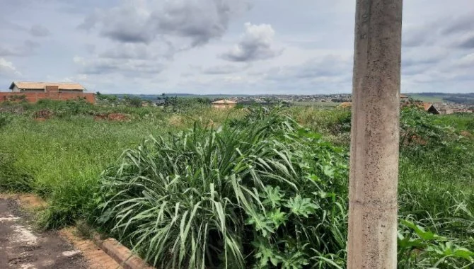 X123664_foto9.jpg