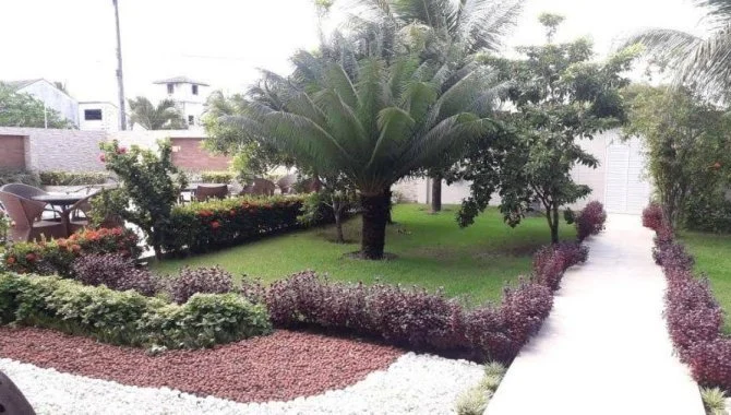 X123681_foto49.jpg