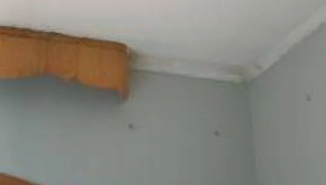 X123691_foto18.jpg
