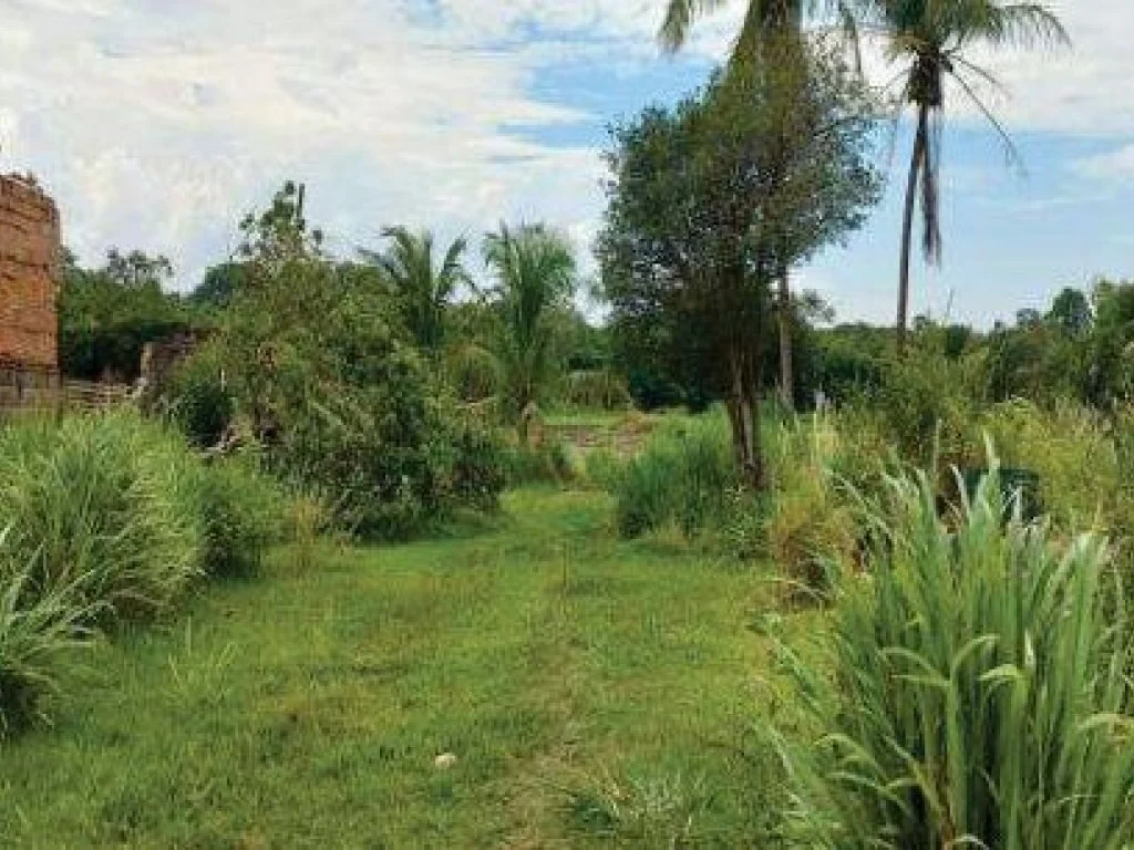 X123918_foto5.jpg