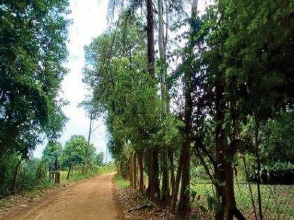 X123918_foto8.jpg
